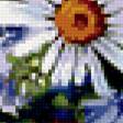 Предпросмотр схемы вышивки «ромашки» (№259113)