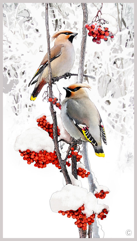 птички - птицы, зима, калина, снег, природа - оригинал