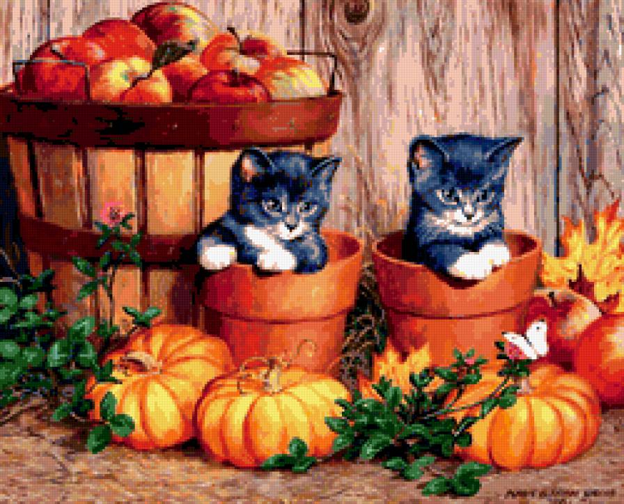 №259313 - кошки, картина, тыквы - предпросмотр