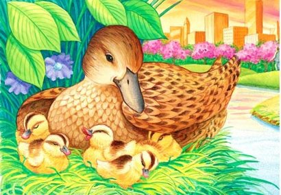 уточка - утка, утенок, птицы, длетям, детская, утята - оригинал