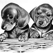 Схема вышивки «собачки»