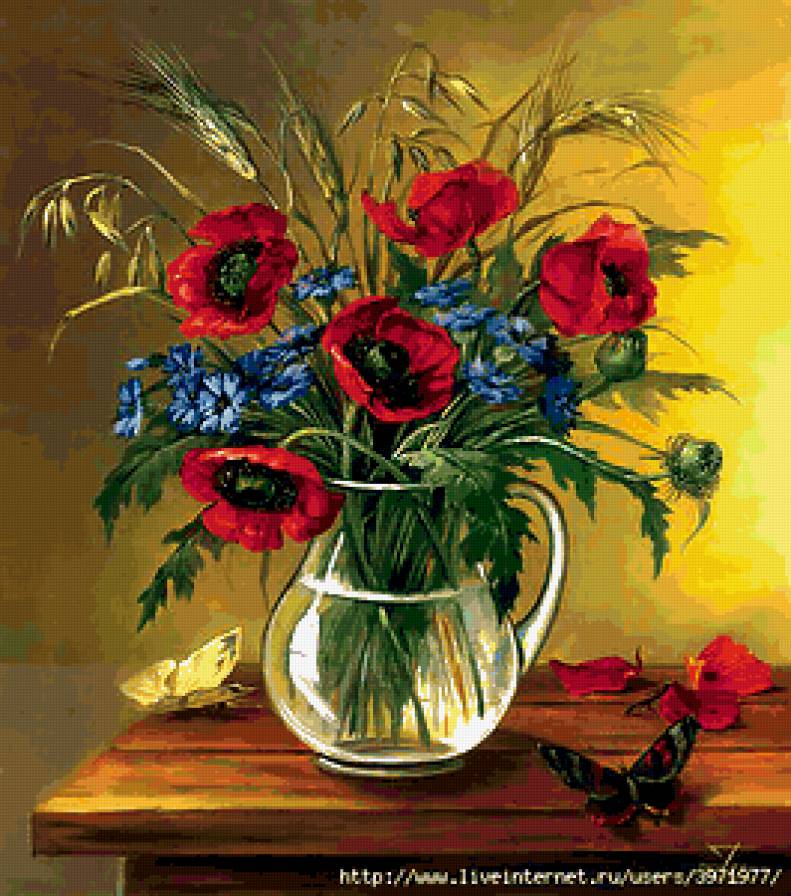 Мак - цветы, мак - предпросмотр