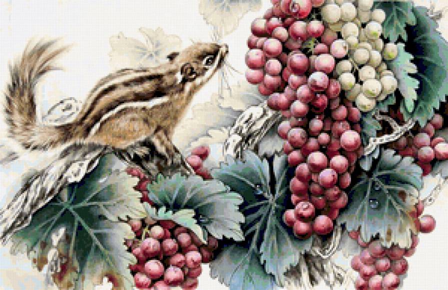 Зверёк у винограда - зверьки, виноград, листья - предпросмотр