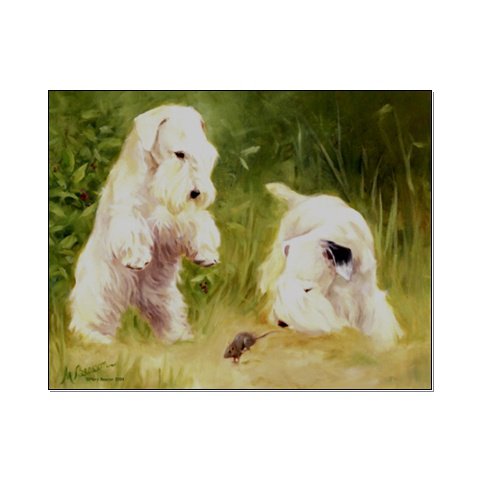 Сюрприз - силихемы, собаки - оригинал