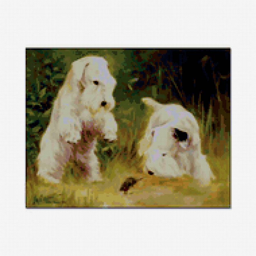 Сюрприз - собаки, силихемы - предпросмотр