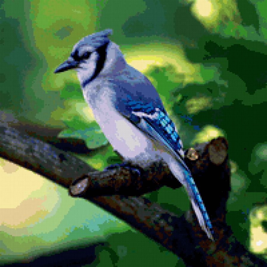 Синяя птица - предпросмотр