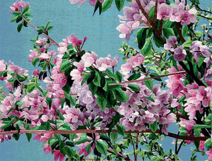 Китайская вышивка Ветка яблони - китай, цветы, восток - предпросмотр