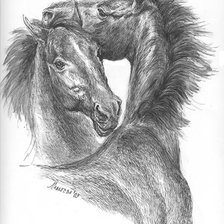 Схема вышивки «пара лошадей»