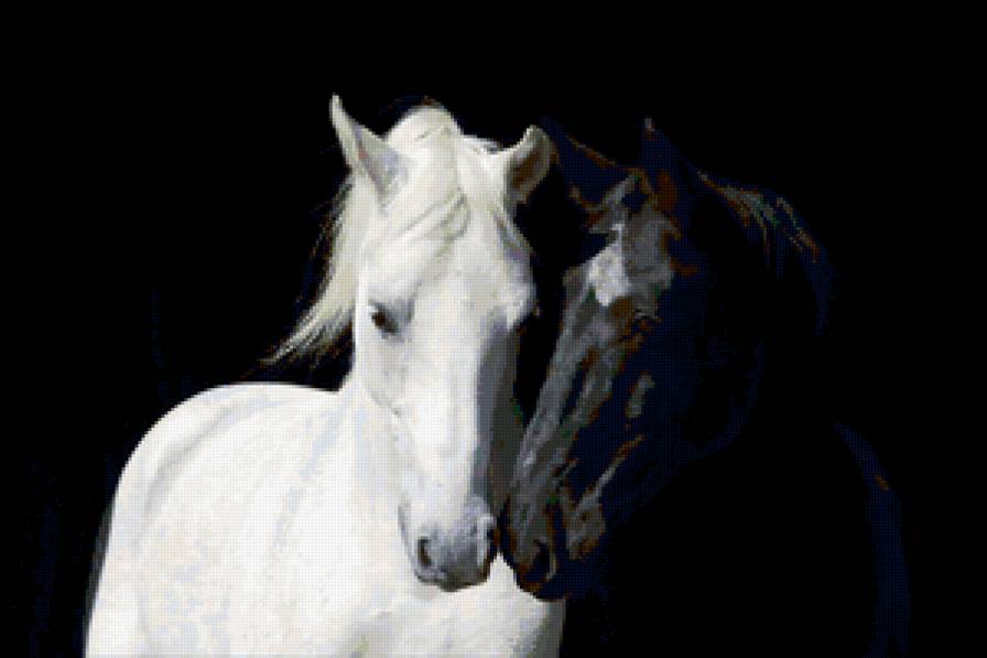 НЕжность - предпросмотр