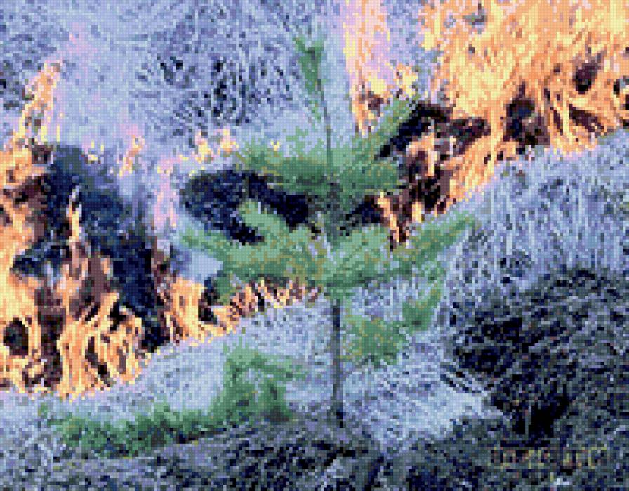 Пожар в лесу - лес, огонь., пожар - предпросмотр