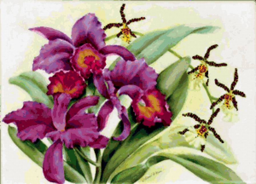 ОРХИДЕЯ - цветы, орхидея, букет - предпросмотр
