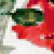 Предпросмотр схемы вышивки «маки» (№260130)