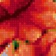 Предпросмотр схемы вышивки «маки» (№260133)