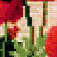 Предпросмотр схемы вышивки «маки» (№260139)