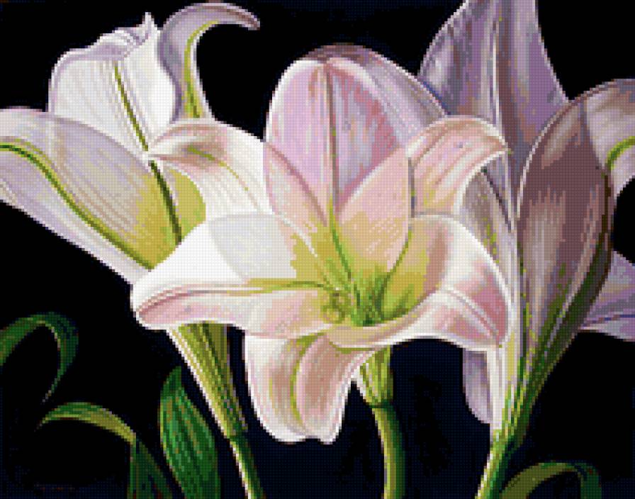 ЛИЛИИ - лилии, букет, цветы - предпросмотр