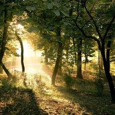 Схема вышивки «лес»