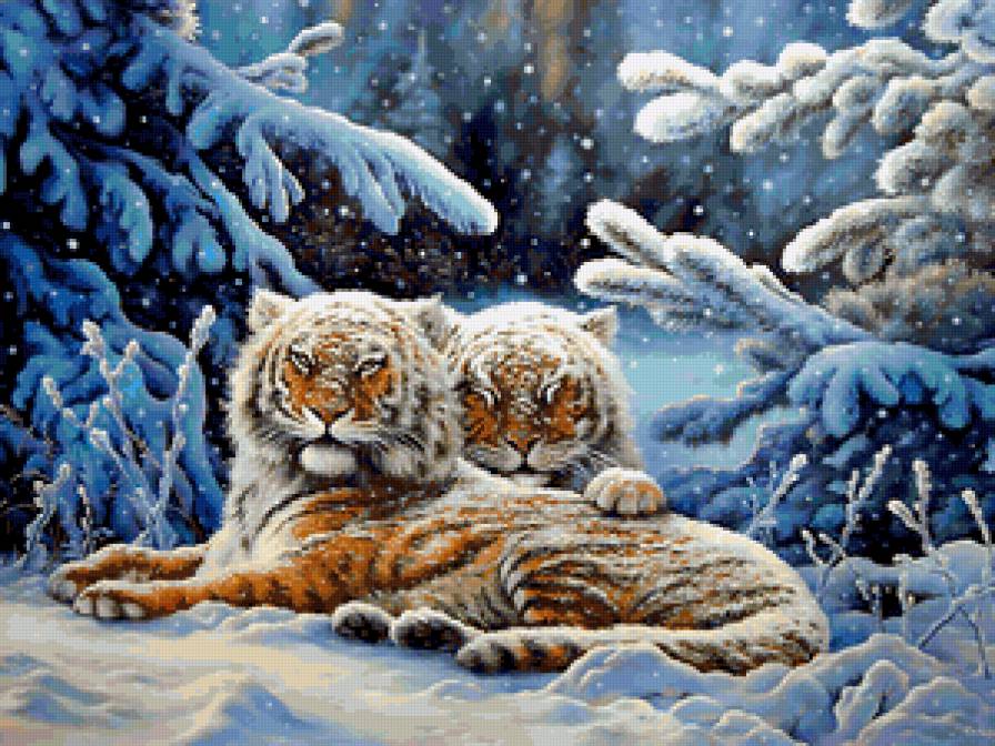 тигры - пара, тигры, зима - предпросмотр