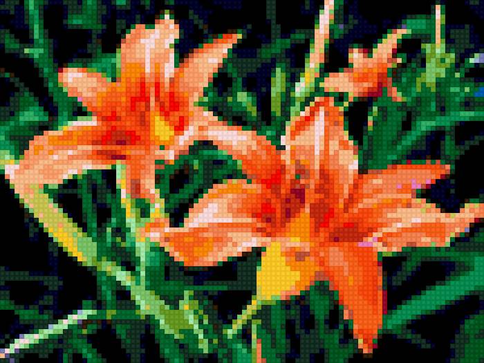 ЛИЛИИ - лилии цветы - предпросмотр