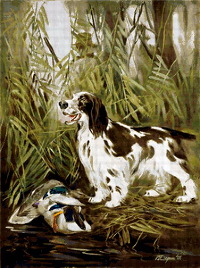 Охота - собака, животные - предпросмотр