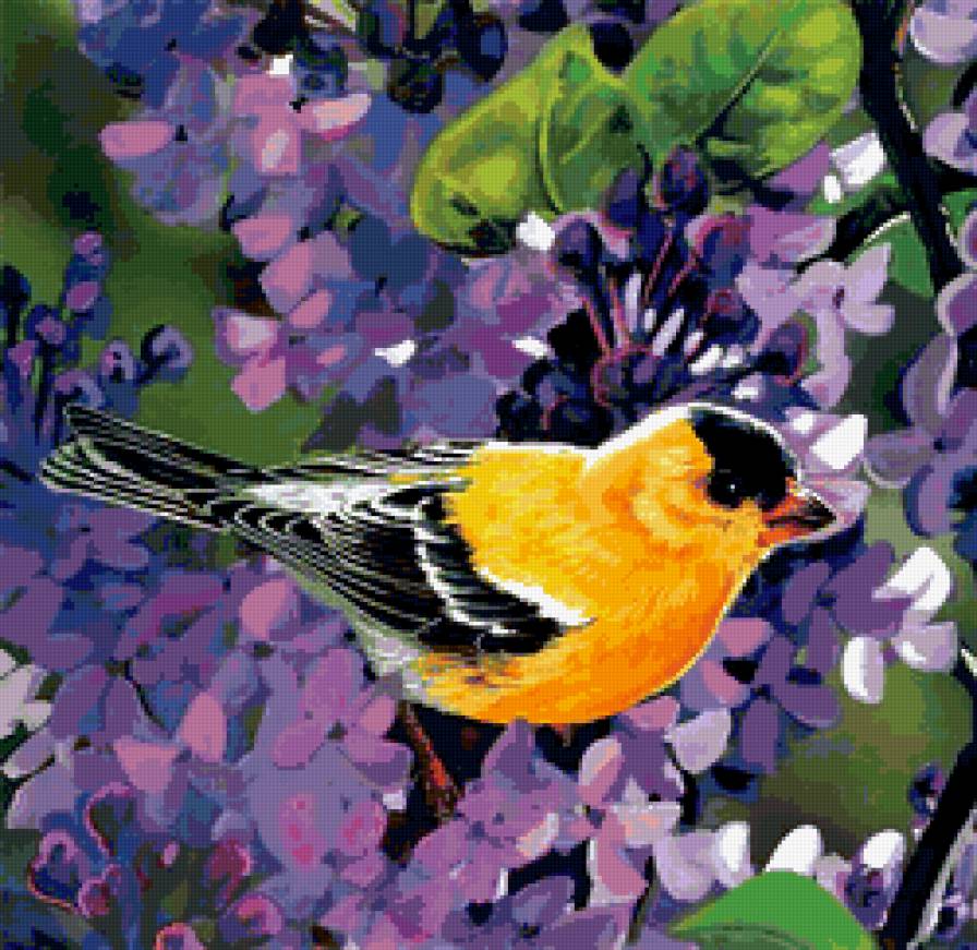 птица - цветы, птица - предпросмотр