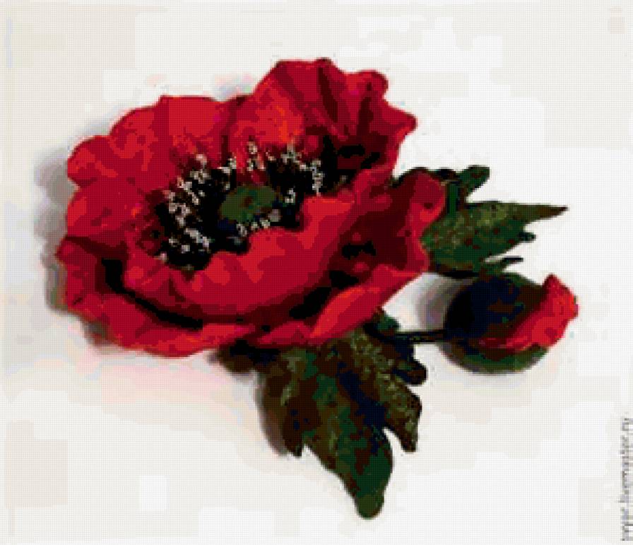 мак - предпросмотр