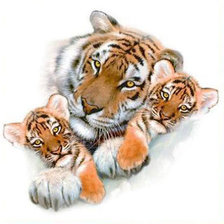 Оригинал схемы вышивки «тигры» (№260863)