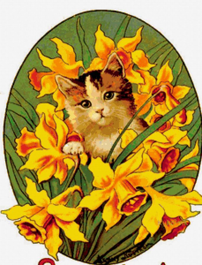 МИЛАШКА РЫЖИК - композиция, букет, цветы, весенние цветы, нарцыс, кошка - предпросмотр