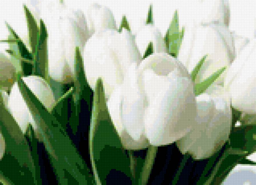 са - предпросмотр