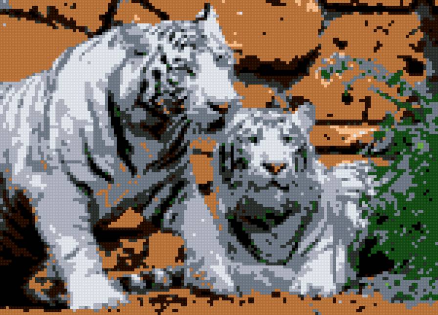 тигры - предпросмотр