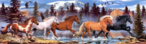 лошадки - животные, кони, табун, лошадь, лошади, конь - оригинал