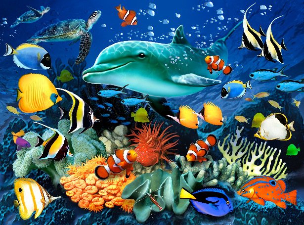 подводный мир - рыбы, рыбки, море, дельфин, океан - оригинал