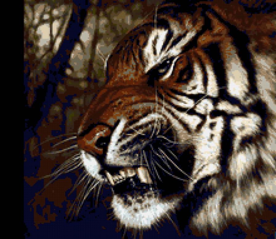 Тигр - дикие кошки, животные, тигр - предпросмотр