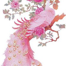 Схема вышивки «павлин»