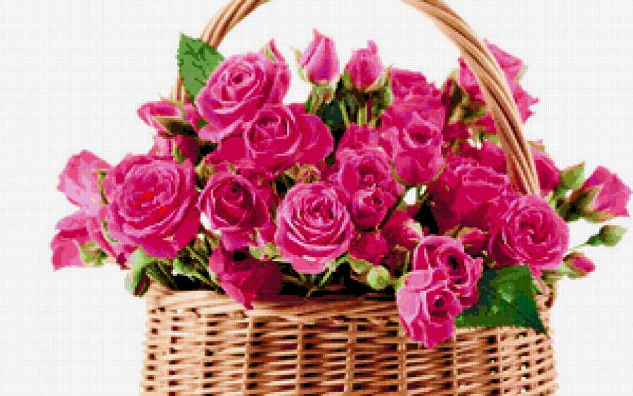 Корзина с розами - розы, розочки, корзина, цветы, душистые розы, флора - предпросмотр
