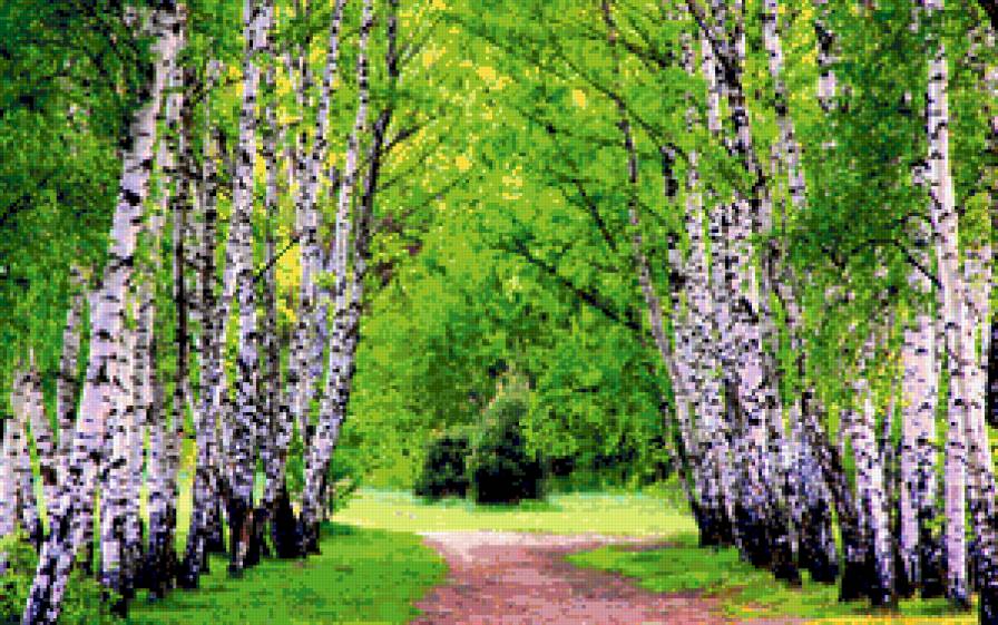 Весна в берёзах - дорога, пейзаж, листья, березы, весна - предпросмотр