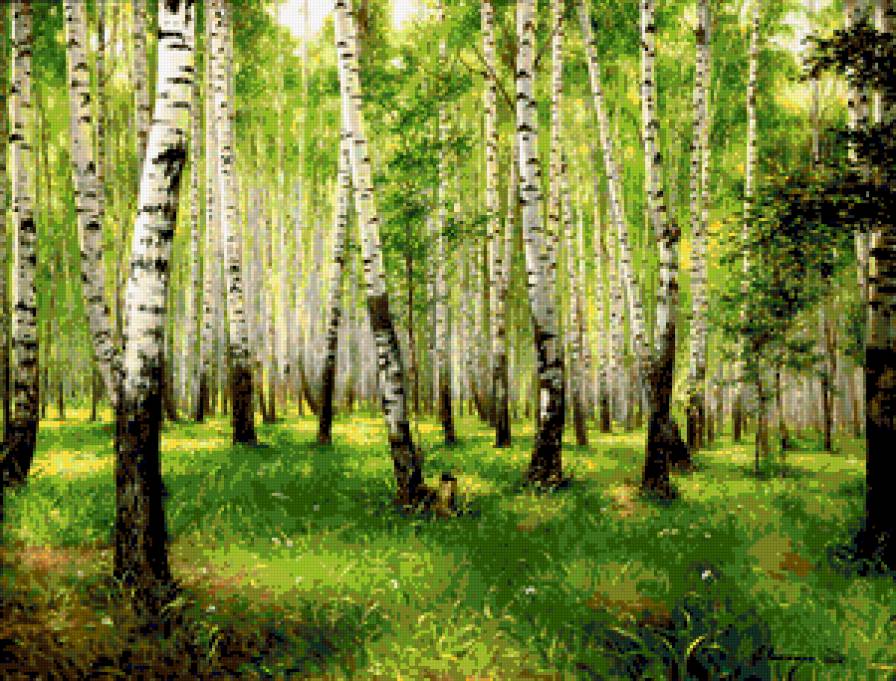 Берёзовая роща - трава, деревя, роща, пейзаж, березы, листья, весна - предпросмотр