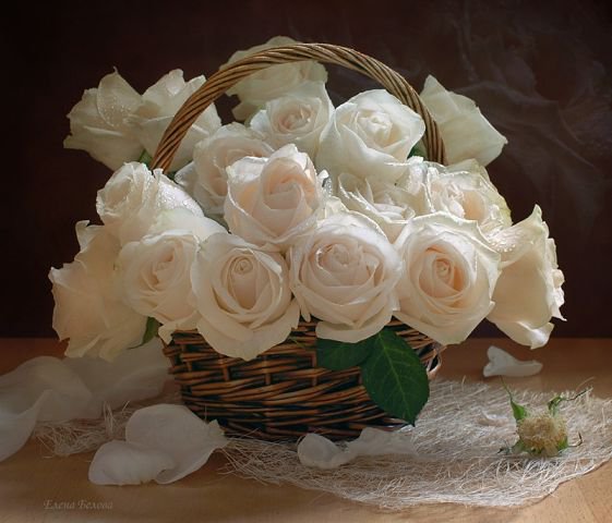 Белые розы - цветы, розы, букет - оригинал