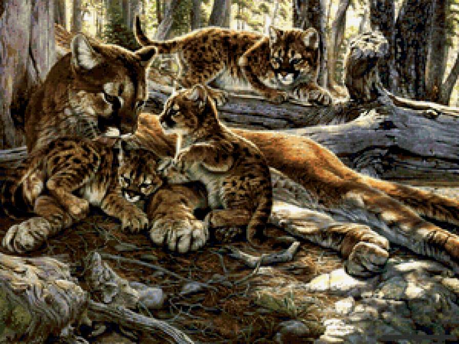 №262038 - кошки, семья, леопарды - предпросмотр