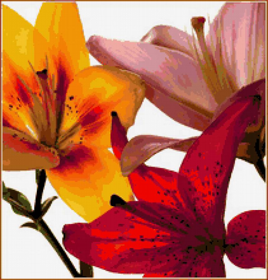 взаимный интерес - цветы - предпросмотр