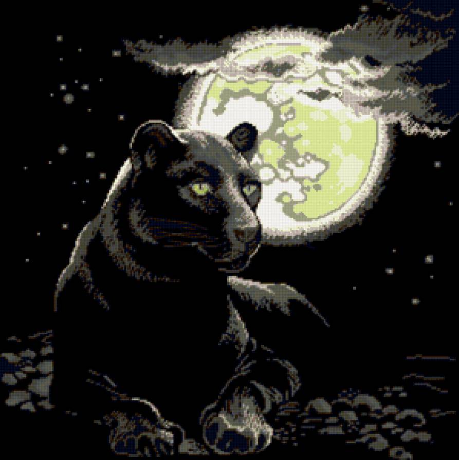 ПОЛНОЛУНИЕ - хищник, багира, взгляд хищника, ночь, луна - предпросмотр