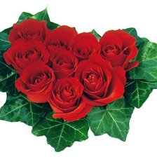 Схема вышивки «букет из роз»