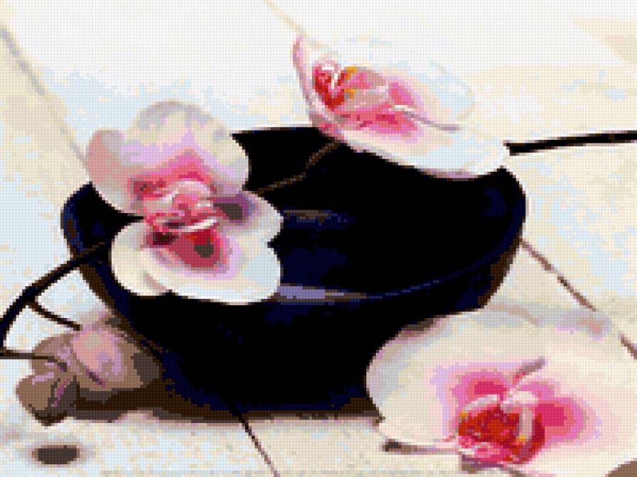 орхидея - цветы картина натюрморт орхидея - предпросмотр