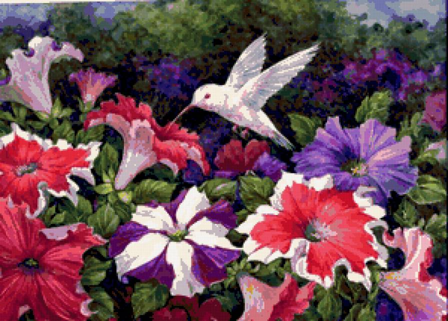 Серия "Букет" - букет, петунии, лето, цветы, птицы - предпросмотр