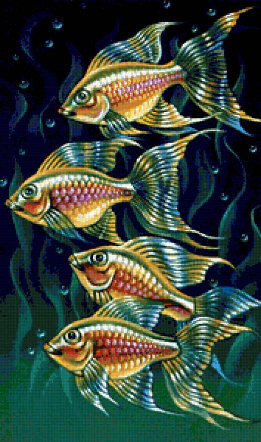 Стая рыб - рыбки - предпросмотр