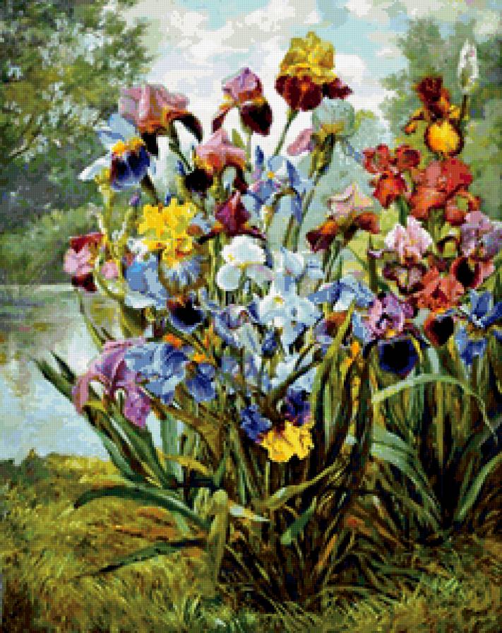 Ирисы - ирисы, природа, цветы - предпросмотр