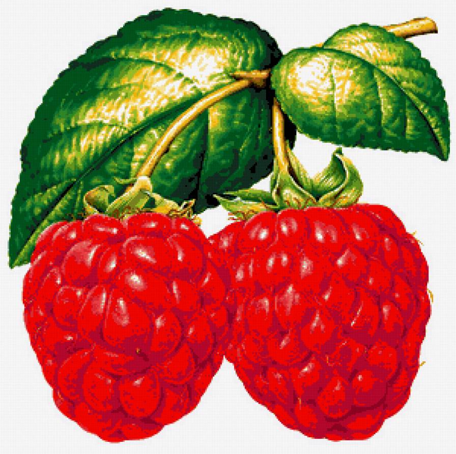 №262712 - предпросмотр