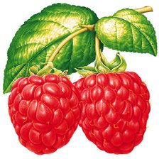 Схема вышивки «№262712»