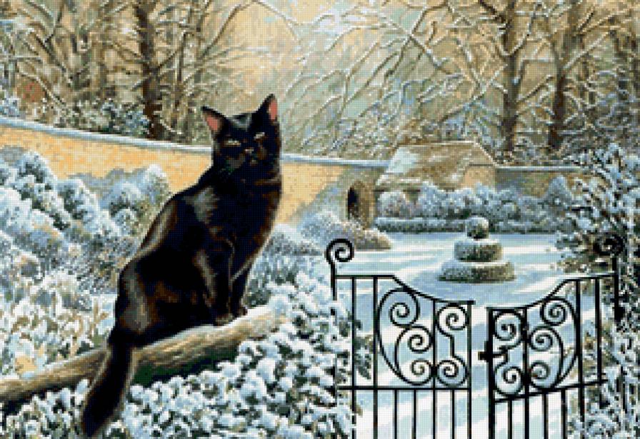 кошка - кот, животные, коты, кошки, природа, зима - предпросмотр