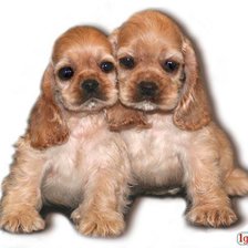 Схема вышивки «кокерешки»