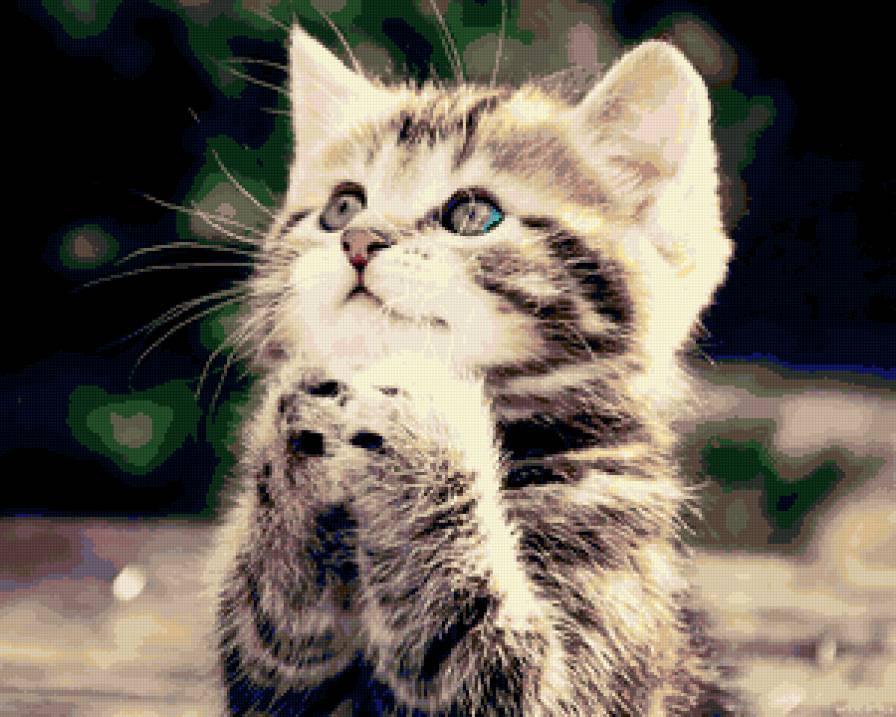 Котенок - котенок, жывотные - предпросмотр